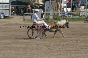 boltwoodtwinkly-verena_1531.jpg