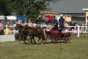 britta-anita-claudia-gerhard_2364.jpg