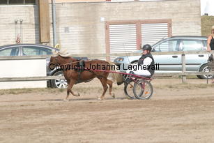 britta-claudia_1579.jpg