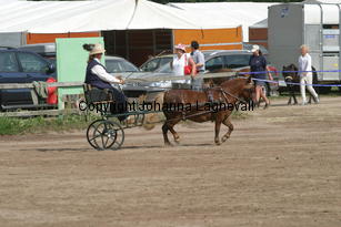 dalsgardsbiggles-marie_1551.jpg