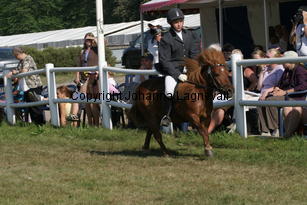 frej-evelina_2413.jpg