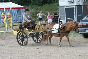granjevalkyria-pernilla_1511.jpg