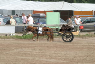 granjevalkyria-pernilla_1587.jpg