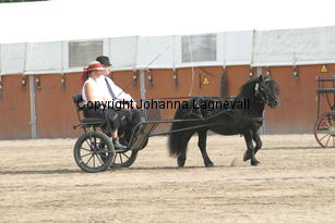 hartsidejoshua-christine_1562.jpg