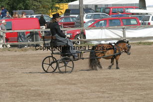kapplingeorganza-emilie_1538.jpg
