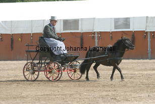 omegavdwelgelegen-will_1528.jpg