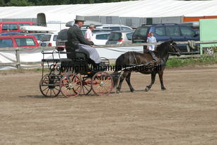 omegavdwelgelegen-will_1547.jpg