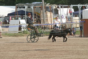 ostertorpsmalou-sofia_1573.jpg