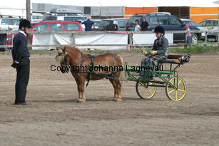 skapperodslothar-andreas_1512.jpg