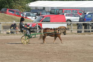 skapperodslothar-andreas_1516.jpg