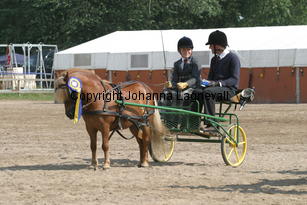 skapperodslothar-andreas_1517.jpg