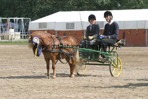 skapperodslothar-andreas_1518.jpg