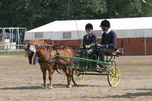 skapperodslothar-andreas_1519.jpg