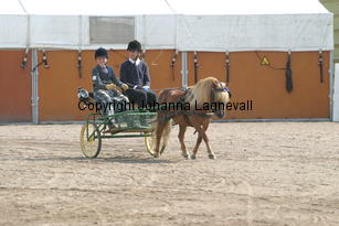 skapperodslothar-andreas_1520.jpg