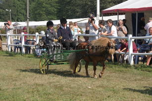 skapperodslothar-andreas_2369.jpg