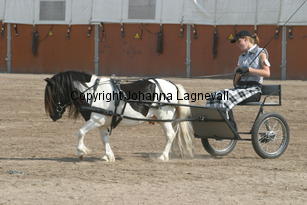 stepleydoubleventure-sophie_1523.jpg