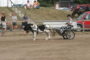 stepleydoubleventure-sophie_1577.jpg