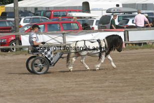 stepleydoubleventure_1558.jpg
