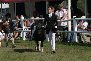 antinavballo-eline_2390.jpg