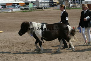 antinavballoo-eline_1415.jpg