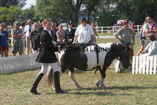 antinavballoo-eline_2349.jpg