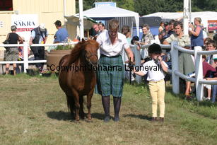 ceresoftransy-lucy_2387.jpg