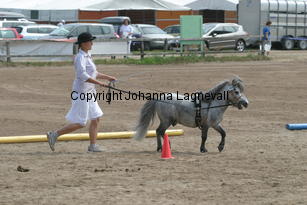 filippo-verena_1325.jpg
