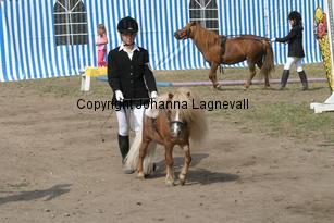 filou-anja_1054.jpg