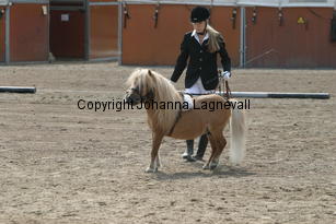 hennessy-tanja_1064.jpg
