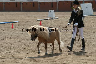 hennessy-tanja_1066.jpg