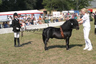 lokkensruben-ruth_2350.jpg