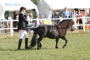 maistrovdrechtewal-meike_0881.jpg