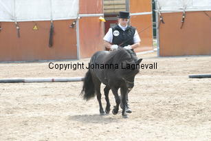 orientvdrechtewal-abigail_1310.jpg