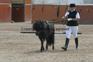 orientvdrechtewal-abigail_1320.jpg