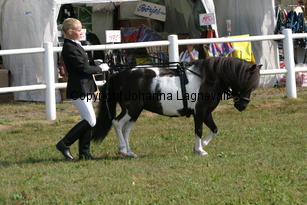 pippivstkakelbont-lotte_0851.jpg