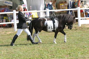 pippivstkakelbont-lotte_0852.jpg