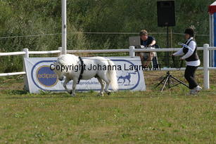 waulkmillmaclintock-carola_0865.jpg