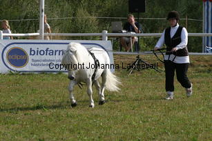 waulkmillmaclintock-carola_0871.jpg