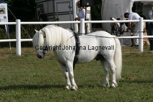 waulkmillmaclintock_0873.jpg