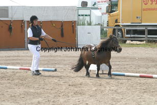 zorro-gizela_1282.jpg