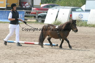 zorro-gizela_1283.jpg