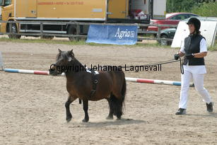 zorro-gizela_1284.jpg