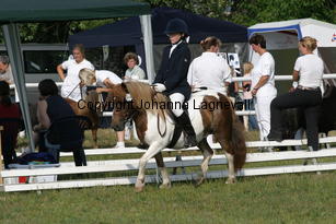 dancingspirit-matilda_1775.jpg