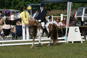 dancingspirit-matilda_1776.jpg