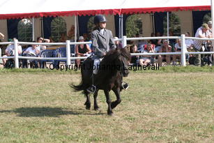 kolnasezzet-magdalena_2429.jpg