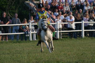 pippi_0770.jpg