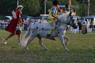 pippi_0773.jpg