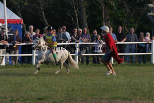 pippi_0774.jpg