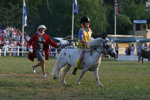 pippi_0775.jpg