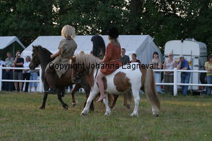 ronja_0780.jpg